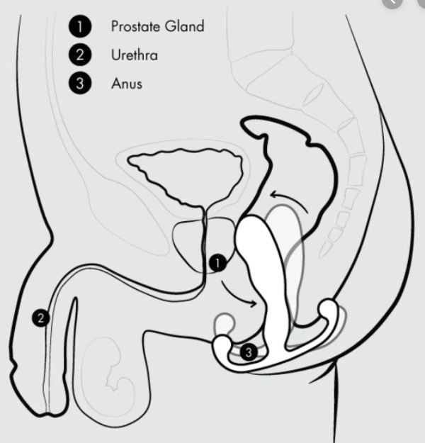 Mise en situation de l'Aneros pour stimuler votre prostate